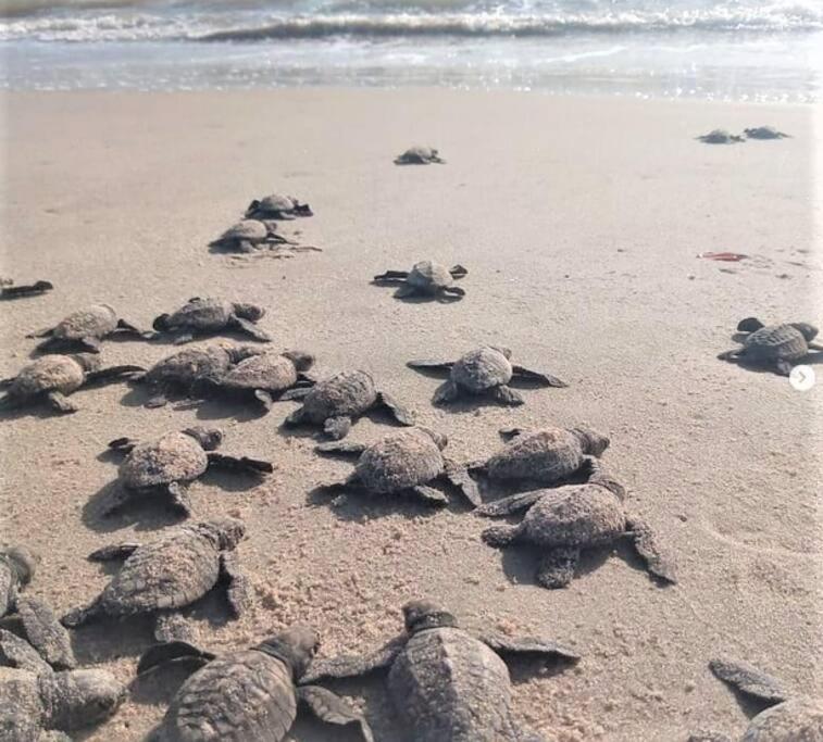 Joao Pessoa, A Dois Passos Do Paraiso, 2 Suites Com A/C, Vista Panoramica Para O Mar Do Bessa, Portaria 24H E 2 Vagas De Garagem Exteriör bild