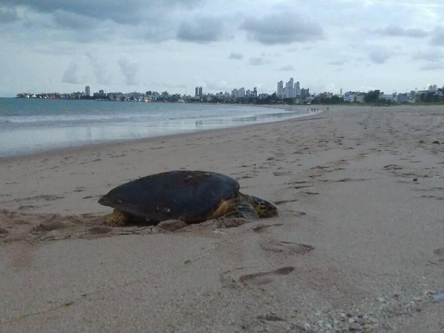 Joao Pessoa, A Dois Passos Do Paraiso, 2 Suites Com A/C, Vista Panoramica Para O Mar Do Bessa, Portaria 24H E 2 Vagas De Garagem Exteriör bild